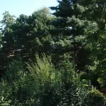B&B Garden55